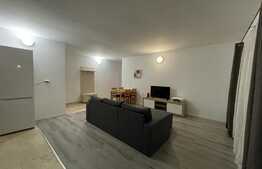 Apartament de 2 camere, modern, 54 mp, parcare, Pet Friendly, zona Golden Tulip