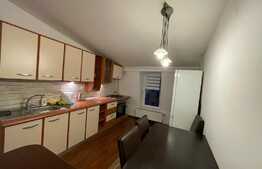 Apartament de 1 camera, modern, 40 mp, pet friendly, zona Expo Transilvania