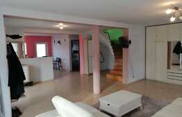 Casa individuala, 260 mp util, 377 mp teren, zona Auchan Iris