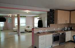 Casa individuala, 260 mp util, 377 mp teren, zona Auchan Iris