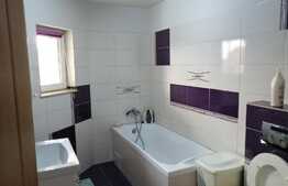 Casa individuala, 260 mp util, 377 mp teren, zona Auchan Iris