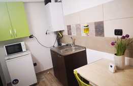 Garsonieră spațioasă, 48,6 mp, balcon cu vedere spre munte, boxă, Bușteni