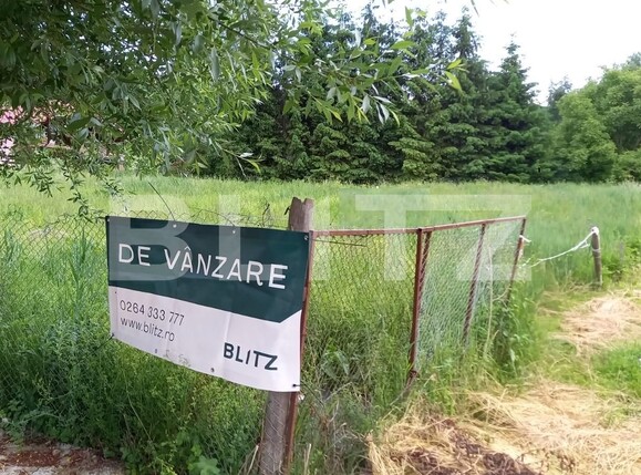 Teren de vânzare Făget - 77742TV | BLITZ Cluj-Napoca | Poza2