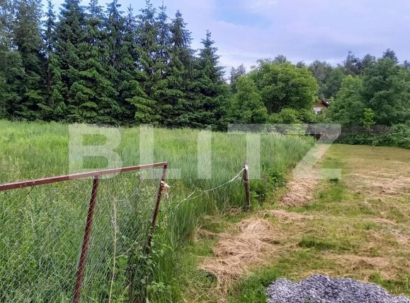 Teren de vânzare Făget - 77742TV | BLITZ Cluj-Napoca | Poza1