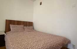 Garsonieră decomandată, 30 mp, pet friendly, zona Bulevardul Muncii 