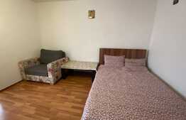 Garsonieră decomandată, 30 mp, pet friendly, zona Bulevardul Muncii 