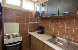 Garsonieră decomandată, 30 mp, pet friendly, zona Bulevardul Muncii 