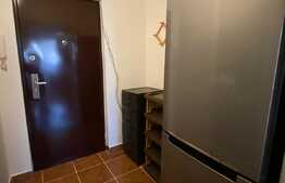 Garsonieră decomandată, 30 mp, pet friendly, zona Bulevardul Muncii 