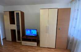 Garsonieră decomandată, 30 mp, pet friendly, zona Bulevardul Muncii 