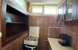 Garsonieră decomandată, 30 mp, pet friendly, zona Bulevardul Muncii 
