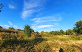 Teren intravilan de 6293 mp, Feleacu