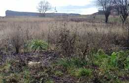 Teren de vanzare 5813 mp cu destinatie constructii blocuri in Floresti