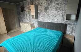 Apartament de 2 camere, 45 mp, parcare, zona Porii 