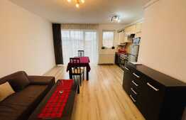 Apartament de 2 camere, etaj intermediar, finisat, zona Petrom