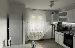 Apartament 2 camere, decomandat, 55 mp, zona strazii Dunarii