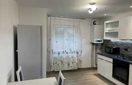 Apartament 2 camere, decomandat, 55 mp, zona strazii Dunarii