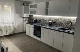 Apartament 2 camere, decomandat, 55 mp, zona strazii Dunarii