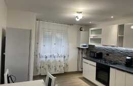 Apartament 2 camere, decomandat, 55 mp, zona strazii Dunarii