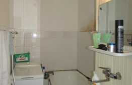 Apartament 1 camera, 28 mp, decomandat, recent zugravit, zona strazii Nicolae Titulescu