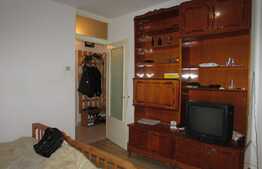 Apartament 1 camera, 28 mp, decomandat, recent zugravit, zona strazii Nicolae Titulescu