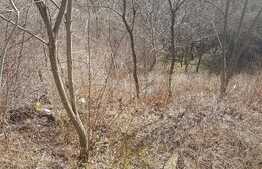 Teren intravilan  955 mp zona Grigorescu panorama deosebita !