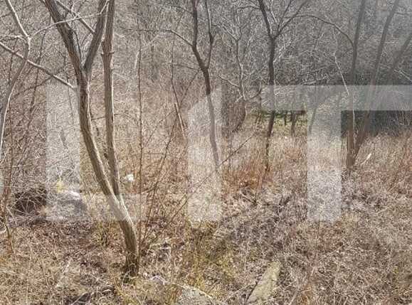 Teren de vânzare Grigorescu - 77899TV | BLITZ Cluj-Napoca | Poza3