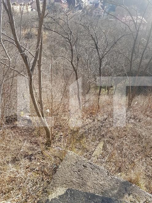 Teren de vânzare Grigorescu - 77899TV | BLITZ Cluj-Napoca | Poza3