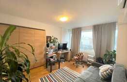 Apartament 2 camere, 50 mp, pet friendly, Piata Mihai Viteazu