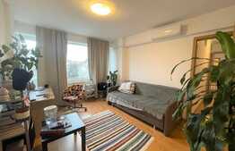 Apartament 2 camere, 50 mp, pet friendly, Piata Mihai Viteazu