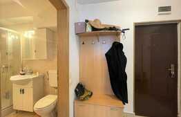 Apartament 2 camere, 50 mp, pet friendly, Piata Mihai Viteazu