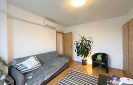 Apartament 2 camere, 50 mp, pet friendly, Piata Mihai Viteazu