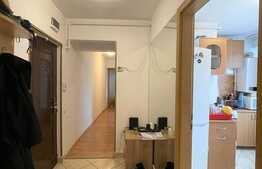 Apartament 2 camere, 50 mp, pet friendly, Piata Mihai Viteazu