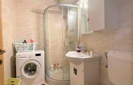 Apartament 2 camere, 50 mp, pet friendly, Piata Mihai Viteazu