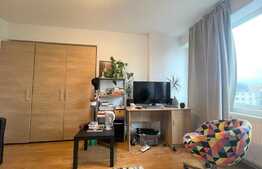 Apartament 2 camere, 50 mp, pet friendly, Piata Mihai Viteazu