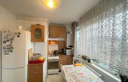 Apartament 2 camere, 50 mp, pet friendly, Piata Mihai Viteazu