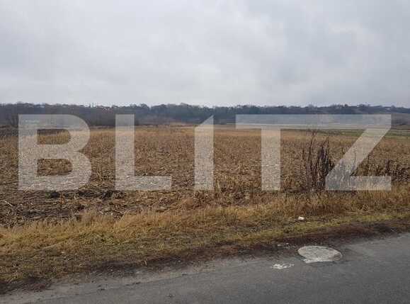 Teren de vânzare Jucu - 77919TV | BLITZ Cluj-Napoca | Poza2