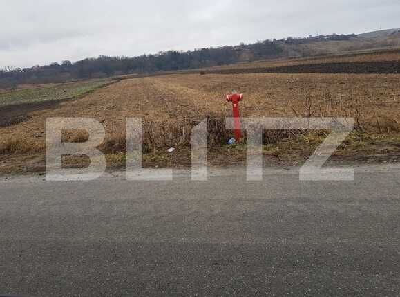 Teren de vânzare Jucu - 77919TV | BLITZ Cluj-Napoca | Poza1