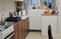 Apartament 2 camere, decomandat, pet-friendly, zona parcului Sopor