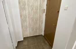 Apartament de 2 camere, semidecomandat, 35 mp, renovat complet, zona Florilor 