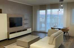 Apartament de 2 camere, lux, Record Park