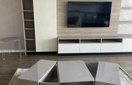 Apartament de 2 camere, lux, Record Park