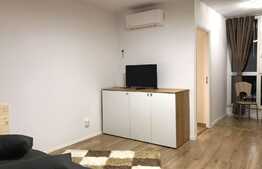 Garsoniera de 35 mp, totul nou, zona strazii Grigore Alexandrescu