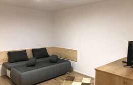 Garsoniera de 35 mp, totul nou, zona strazii Grigore Alexandrescu