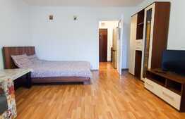 Garsoniera de 32 mp, potrivit pentru studenti, zona Bvd. Muncii