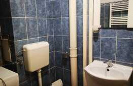 Apartament de 2 camere, etaj intermediar, parcare, boxă, Tractorul 