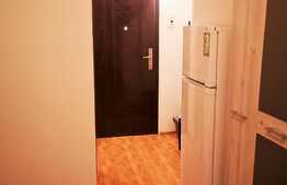 Apartament de 2 camere, etaj intermediar, parcare, boxă, Tractorul 