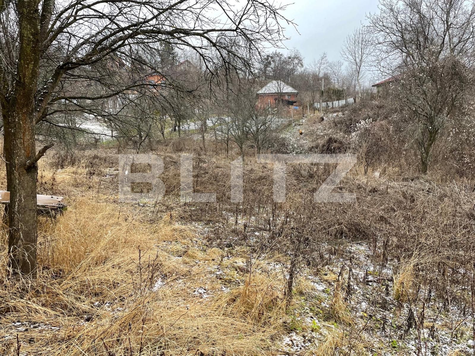 Teren de vânzare Exterior Sud - 78071TV | BLITZ Cluj-Napoca | Poza2