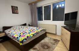 Apartament de 2 camere, 47 mp, zona Astra 