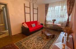 Apartament 2 camere, 50 mp utili, zona străzii Craiova
