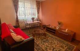 Apartament 2 camere, 50 mp utili, zona străzii Craiova